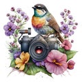 Watercolor camera with flowers sketch Wildflowers