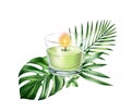 Watercolor candle arrangement. Green palm and monstera leaves. Realistic glass painting. Spa and cosmetic products