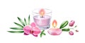 Watercolor candles with tropical flowers. Pink orchid and palm leaves. Spa and cosmetic products isolated on white