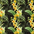 Watercolor canna flowers pattern