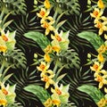 Watercolor canna flowers pattern Royalty Free Stock Photo