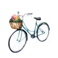 Watercolor card with blue bicycle with basket and flowers. Hand painted summer illustration isolated on white background