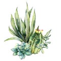 Watercolor card with bouquet of cacti. Hand painted agave, succulent, echinocactus grusonii and cereus isolated on white Royalty Free Stock Photo