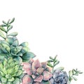 Watercolor card with bouquet of succulents. Hand painted green and violet cacti isolated on white background. Floral