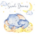 Watercolor card with cute cartoon baby elephant on a cloud Royalty Free Stock Photo