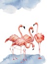 Watercolor card with dancing flamingo. Hand painted print with exotic bird isolated on white background. Tropical Royalty Free Stock Photo