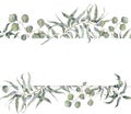 Watercolor card with eucalyptus branch. Hand painted floral frame with round leaves of silver dollar eucalyptus isolated