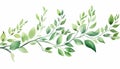 Watercolor card of green branches isolated, white background Royalty Free Stock Photo
