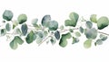 Watercolor card of green branches, isolated, white background Royalty Free Stock Photo