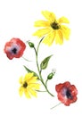 Watercolor Card, Label, Drawing Of Calendula, Marigolds. Yellow, Orange Garden Flower. Watercolor Bouquet Wildflowers Poppy, Chamo