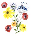 Watercolor card, label, drawing of calendula, marigolds. Yellow, orange garden flower. Watercolor bouquet wildflowers poppy, chamo