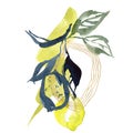 Watercolor card of linear lemons and abstract slices. Hand painted composition of fresh fruits and leaves isolated on
