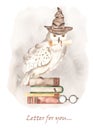 Watercolor card with a magic owl in a hat with a letter, letter for you Royalty Free Stock Photo