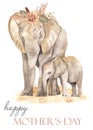 Watercolor card mom and baby elephants with dried flowers bouquet happy mothers day Royalty Free Stock Photo