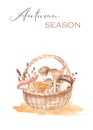 Watercolor card with mushrooms in a basket Autumn picnic Royalty Free Stock Photo