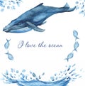 Watercolor card with oceanic mammals.