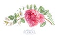 Watercolor card with pink rose and hellebore Royalty Free Stock Photo
