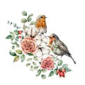 Watercolor card with robin redbreast, cotton, rose, berries and eucalyptus leaves. Hand painted bird and flowers Royalty Free Stock Photo