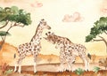 Watercolor card with savanna landscape at sunset and giraffe family, mom, dad, kid Royalty Free Stock Photo