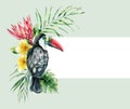 Watercolor card with tropical toucan and flowers bouquet. Hand painted bird, protea and plumeria isolated on green