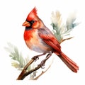 Watercolor Cardinal Illustration: Detailed Character Art With Humorous Animal Scenes