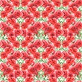 Watercolor carnation clove red flower seamless pattern texture