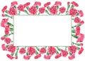 Watercolor Carnation flowers horisontal frame