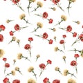 Watercolor carnation pattern