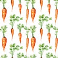 Watercolor Carrot Seamless Pattern, Aquarelle Carrots, Creative Watercolor Carrot Root And Leaves Tile