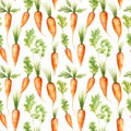 Watercolor Carrot Seamless Pattern, Aquarelle Carrots, Creative Watercolor Carrot Root And Leaves Tile