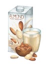 Watercolor carton of plant based almond milk decorated with glass and nuts. Royalty Free Stock Photo