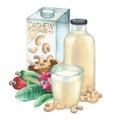 Watercolor carton of plant based milk decorated with glass, bottle, cashew nuts and plants Royalty Free Stock Photo