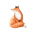 Watercolor cartoon cute fox