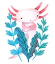 Watercolor cartoon cute posing Axolotl with waterplant