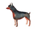 Watercolor cartoon dog Miniature Pinscher