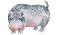 Watercolor cartoon hippopotamus. African predatory animal of the savannah. Watercolor illustration of an animal. Royalty Free Stock Photo