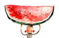 Watercolor cartoon illustration, boy, watermelon Royalty Free Stock Photo