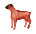 Watercolor cartoon image of boxer dog.