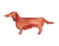 Watercolor cartoon image of long-haired dachshund dog.