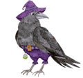 Watercolor cartoon raven in purple witch hat isolated on white background. For various products, Halloween, cards, etc. Royalty Free Stock Photo