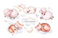 Watercolor cat kitty hand drawn illustration of a cute baby sheep, lamb, sleeping rabbit and bunny, fox and cat on the moon and Royalty Free Stock Photo