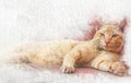 Watercolor cat sleeping on floor with abstract color on white paper background. Painting of beautiful artwork.