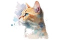 watercolor cat vector illustration Royalty Free Stock Photo