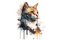 watercolor cat vector illustration Royalty Free Stock Photo