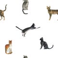 Watercolor cats pattern on white background