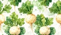 Watercolor Celery Root Vegetable Pattern Royalty Free Stock Photo