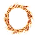 Watercolor cereal wreath. Rice, millet wheat, barley and rye. Watercolour round frame isolated on white background