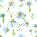 Watercolor chamomile on a white background. Abstract seamless pattern with daisies flowers