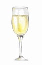 Watercolor champagne glass.