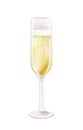 Watercolor champagne in glass Royalty Free Stock Photo